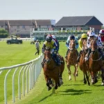 Hevoset kilpailevat radalla hurraavan yleisön edessä esitellen suosituimmat urheilulajit suomessa.