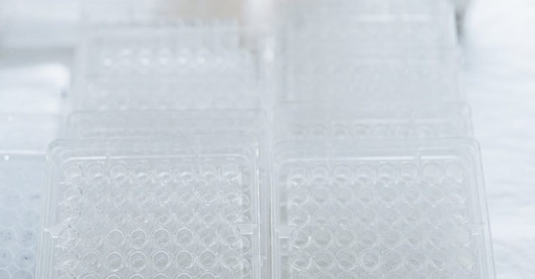 Diabetes - Läpimurto diabeteksen hoidossa: Soluterapia avaa uuden oven tyypin 1 diabeetikoille