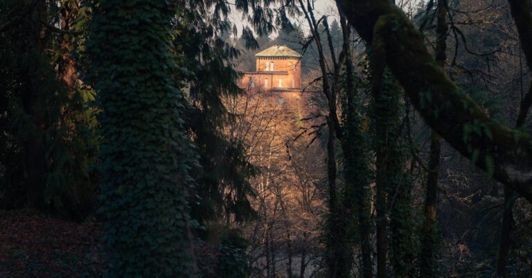 Ajankäyttö - Hallitse aikaasi ja energiaasi – Avaimet onnellisempaan elämään