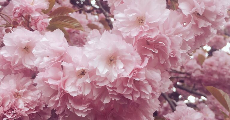 Itsetunto - Jatkuva parantamisen tarve: Opas itsensä armolliseen kohteluun