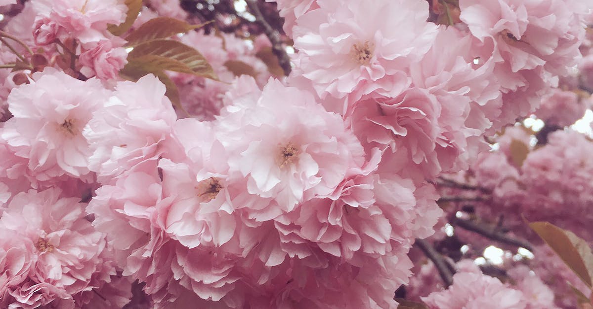 Itsetunto - Jatkuva parantamisen tarve: Opas itsensä armolliseen kohteluun