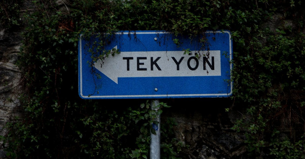 Katastrofiajattelu - Katastrofaalinen ajattelu – Avain pelon ylittämiseen ja toivon löytämiseen