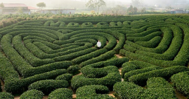 Itsemyötätunto - Löydä todellinen vapaus: Matka jäykistä säännöistä sisäiseen viisauteen