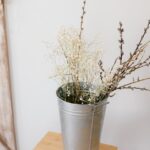 Vihannesjauheet - Löydä Parhaat Vihreät Jauheet Terveellisen Elämän Tukijoina