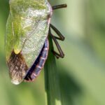 Rakkaus - Rakkaus ja arvo: Miten selvisin taloudellisesta ahdingosta vahvempana