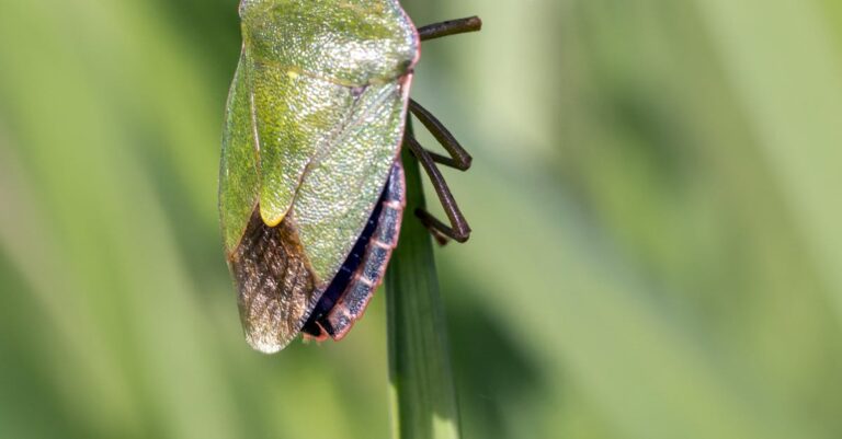 Rakkaus - Rakkaus ja arvo: Miten selvisin taloudellisesta ahdingosta vahvempana